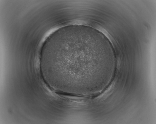 X0000115491115200911061301