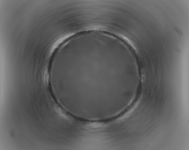 X0000115491117200911061301