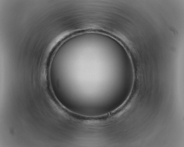 X0000115491118200911061301