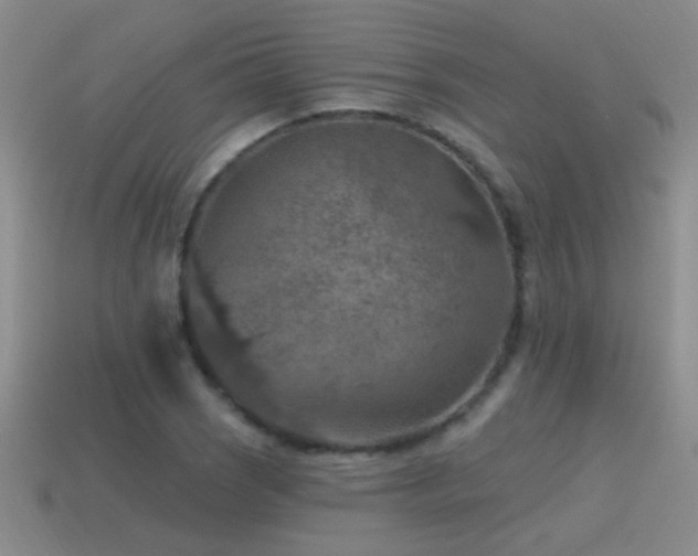 X0000115491121200911061301