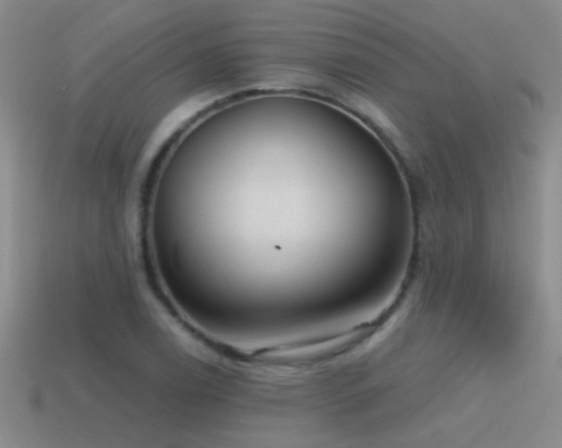 X0000115491122200911061301