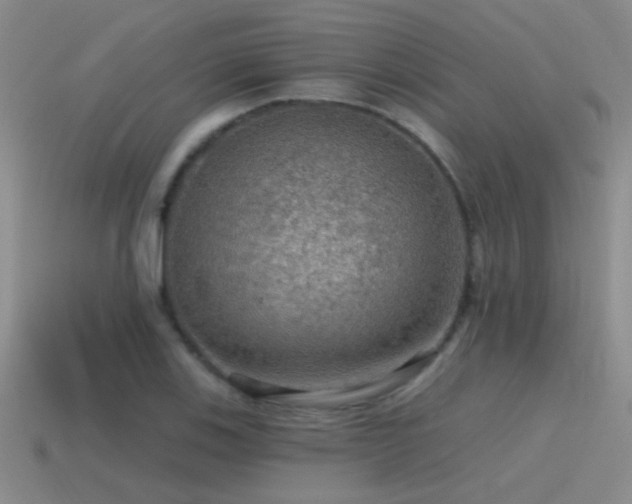 X0000115491123200911061301