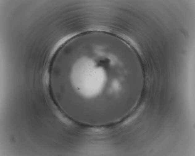 X0000115491125200911061301
