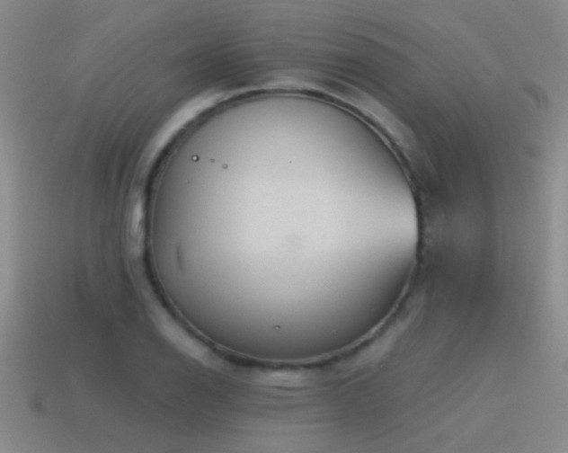 X0000115491126200911061301