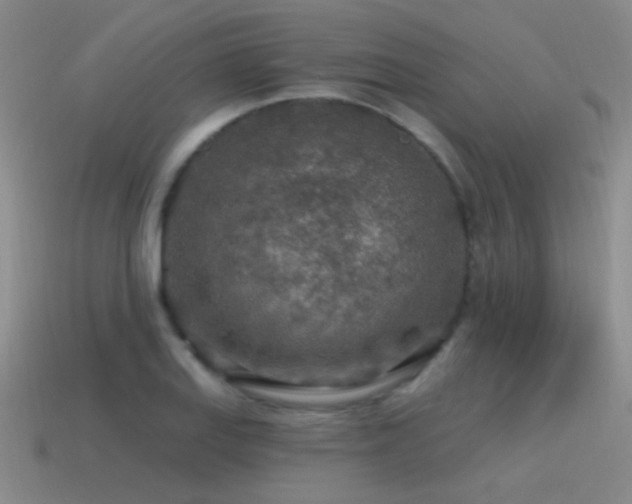 X0000115491127200911061301