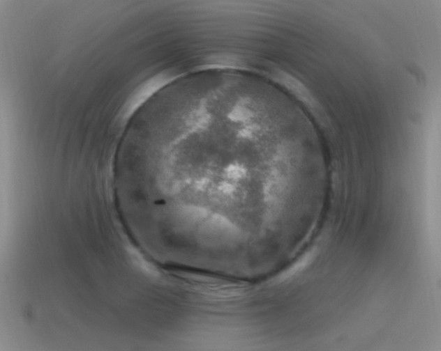 X0000115491129200911061301