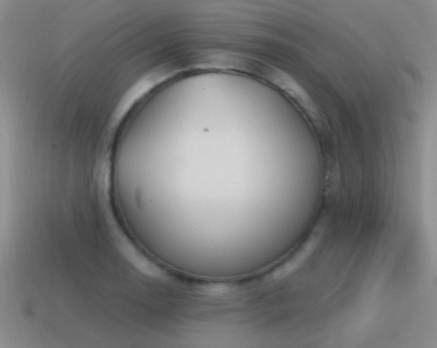 X0000115491130200911061301