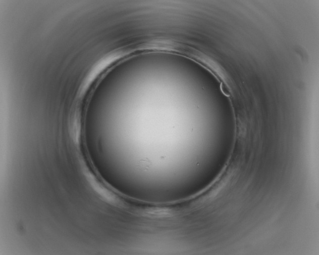 X0000115491131200911061301