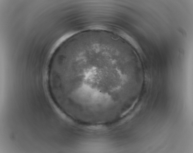 X0000115491133200911061301