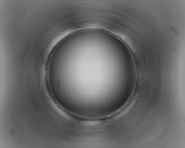 X0000115491134200911061301