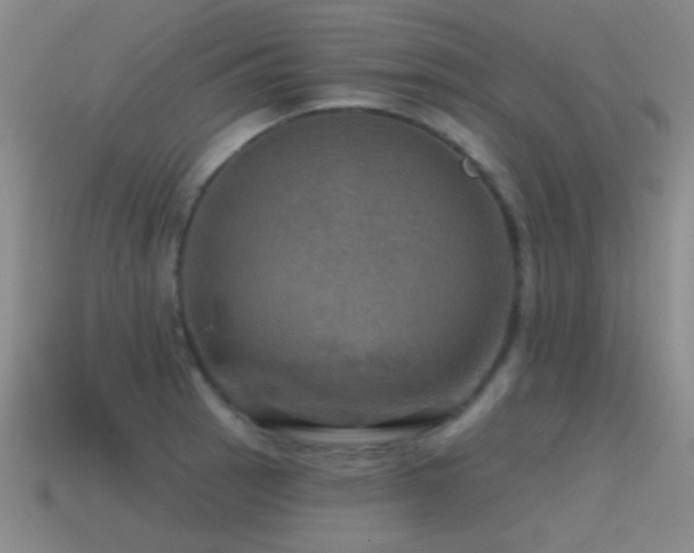 X0000115491137200911061301