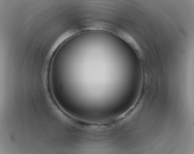 X0000115491138200911061301