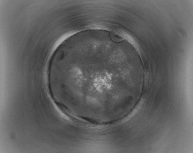 X0000115491141200911061301