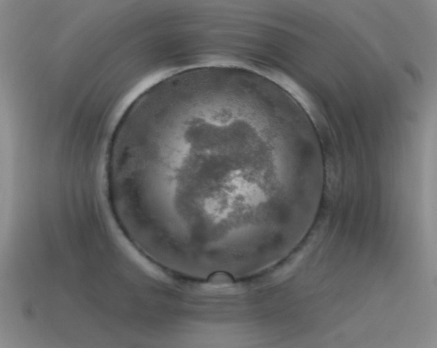 X0000115491142200911061301