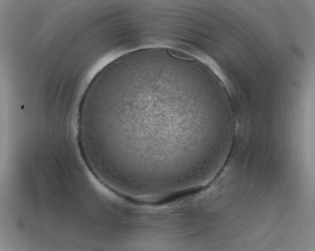 X0000115491143200911061301