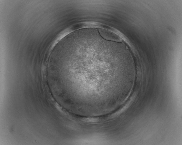 X0000115491145200911061301