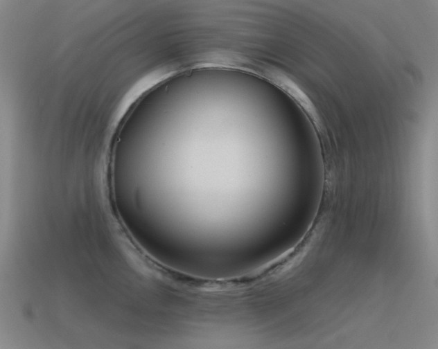 X0000115491146200911061302