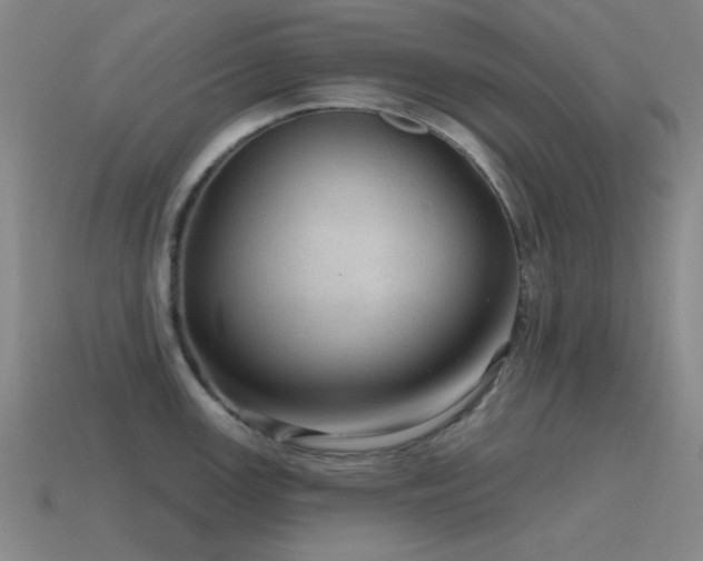 X0000115491147200911061302