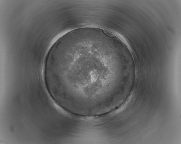 X0000115491149200911061302
