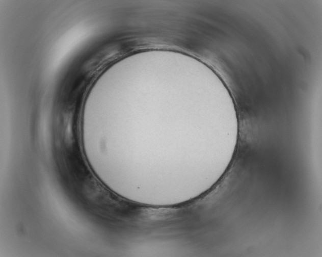 X0000115491150200911061302