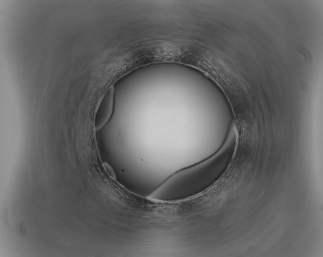 X0000115491153200911061301