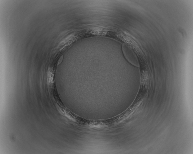 X0000115491154200911061301