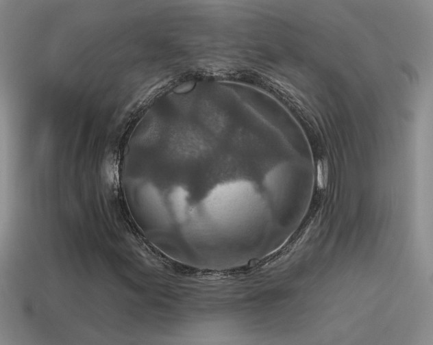 X0000115491155200911061301