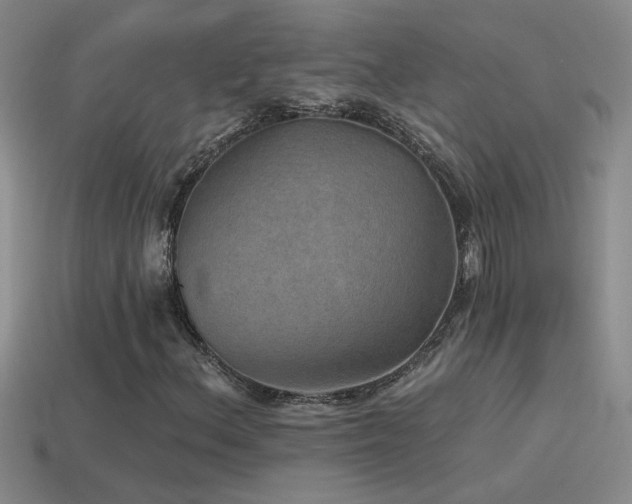 X0000115491156200911061301