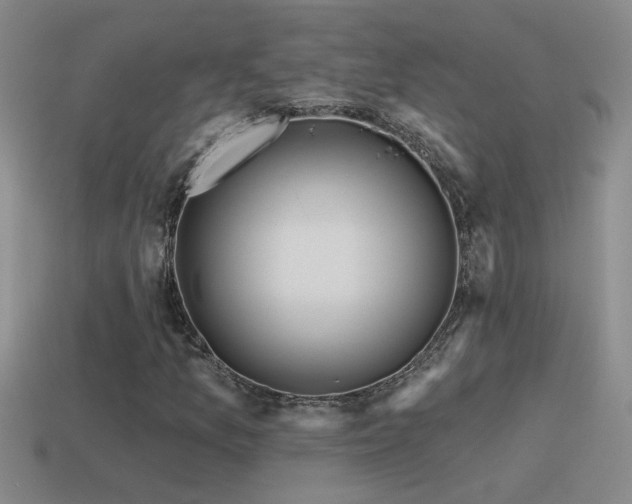 X0000115491157200911061301