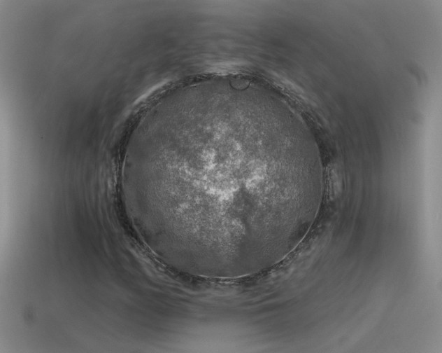 X0000115491158200911061301
