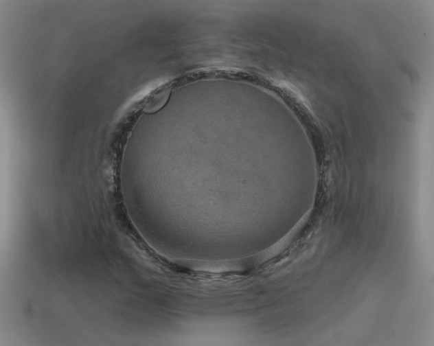 X0000115491159200911061301