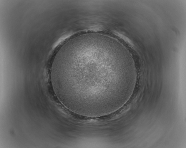 X0000115491160200911061301