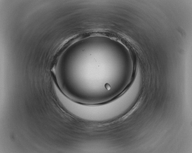 X0000115491161200911061301