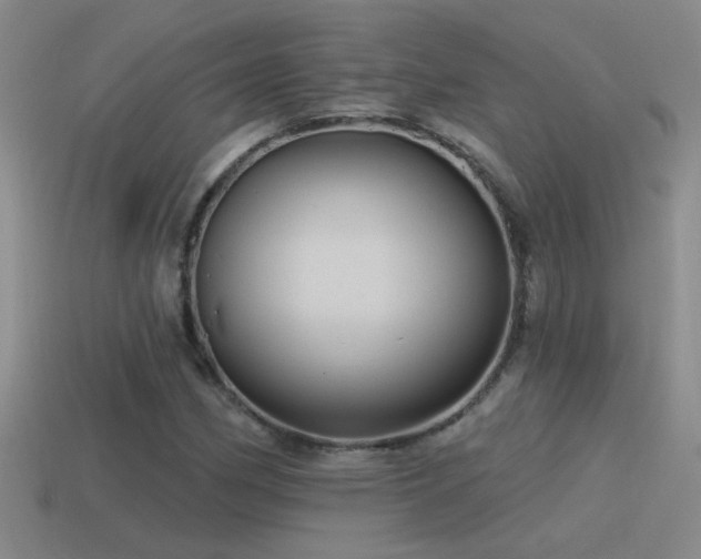 X0000115491162200911061301