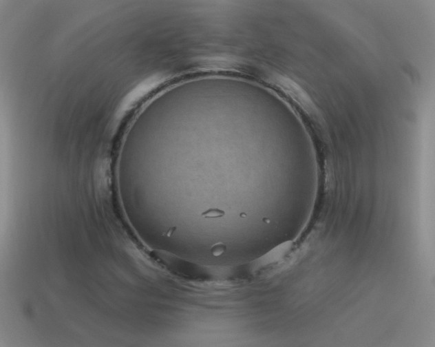 X0000115491164200911061301