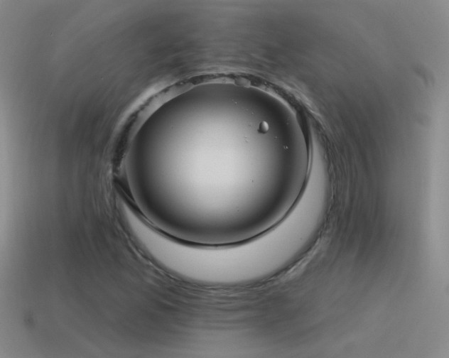 X0000115491165200911061301