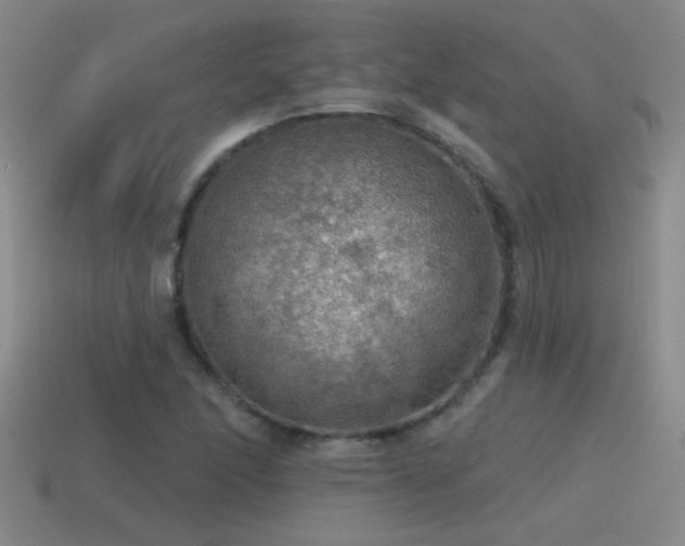 X0000115491166200911061301
