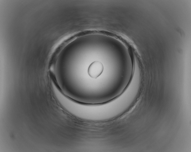 X0000115491167200911061301