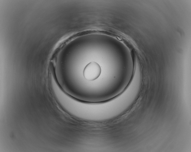 X0000115491168200911061301