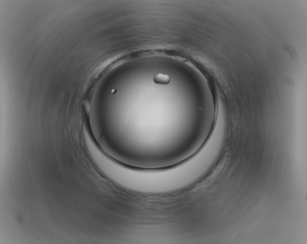 X0000115491169200911061301