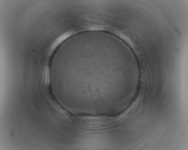 X0000115491171200911061301