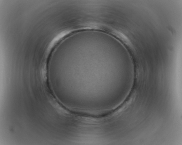 X0000115491172200911061301