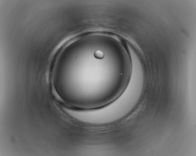 X0000115491173200911061301