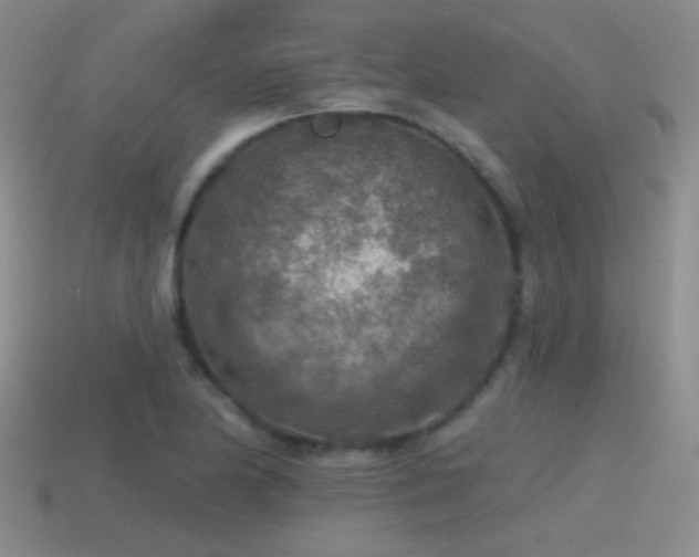 X0000115491174200911061301