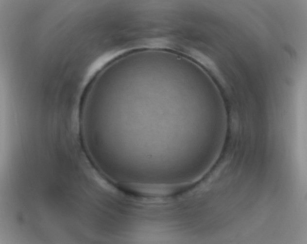 X0000115491176200911061301
