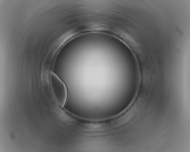 X0000115491177200911061301