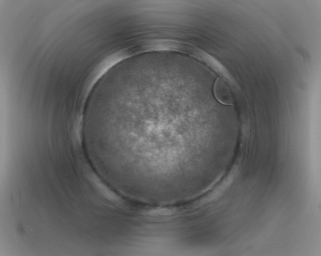 X0000115491178200911061301