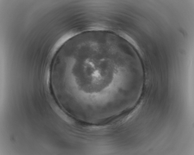 X0000115491179200911061301