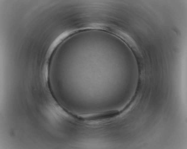 X0000115491180200911061301
