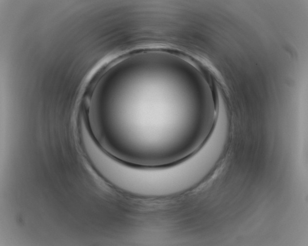 X0000115491181200911061301